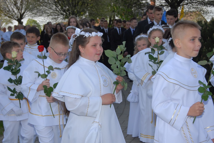 Nawiedzenie w Luszowicach