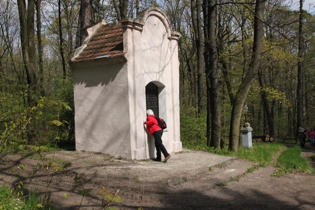 Pielgrzymka na Ślężę