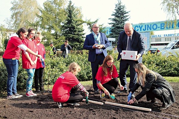 Sadzenie żonkili podczas pierwszej kampanii w Płocku, w 2014 roku.