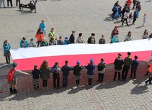 Święto Falgi w Skierniewicach