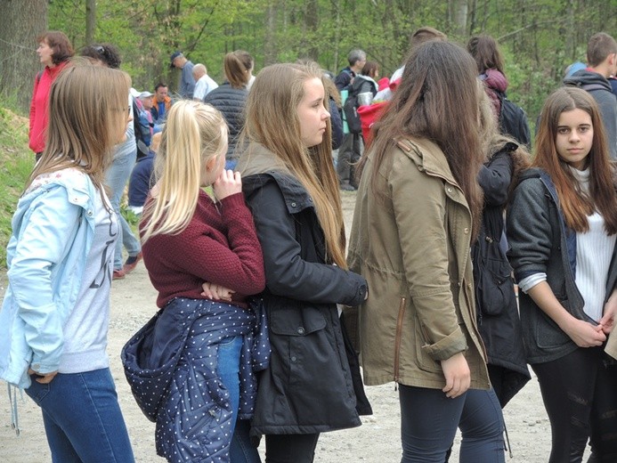 Z Przytkowic przez Polankę Hallera i Radziszów