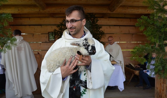 Owieczka u dominikanów