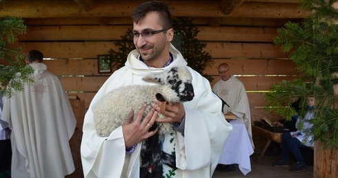 Owieczka u dominikanów