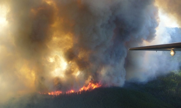 Kanada: Olbrzymi pożar lasów w prowincji Alberta