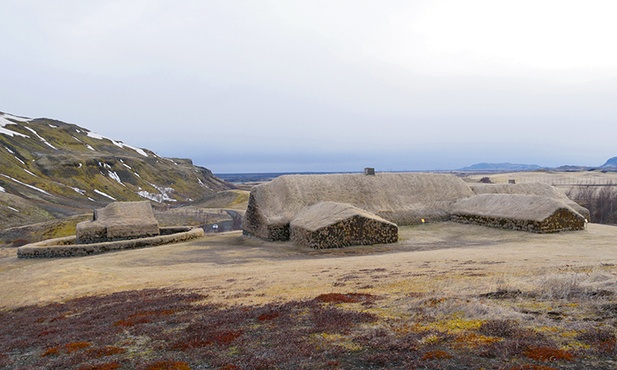 Niemal na każdym kroku można znaleźć potwierdzenie tego, że Islandia jest wyspą wulkaniczną. Wszędzie też znajdziemy dowody na to, że życie nie ma tutaj zamiaru odpuszczać.