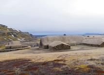 Niemal na każdym kroku można znaleźć potwierdzenie tego, że Islandia jest wyspą wulkaniczną. Wszędzie też znajdziemy dowody na to, że życie nie ma tutaj zamiaru odpuszczać.