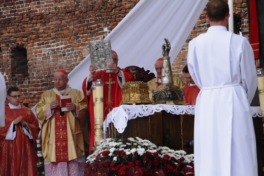 Procesja z Wawelu na Skałkę 2016