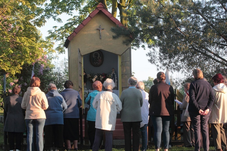 Majówka na Starych Piekarach