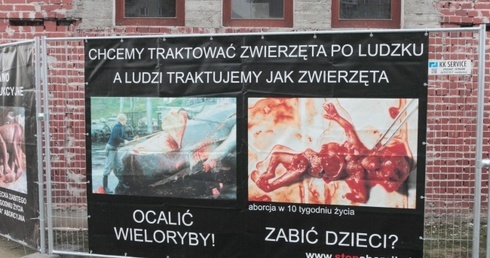 Kradzież przeciw życiu