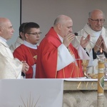 Znaki Bożego Miłosierdzia w Drogomyślu