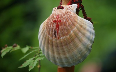 To będzie sobota na Camino