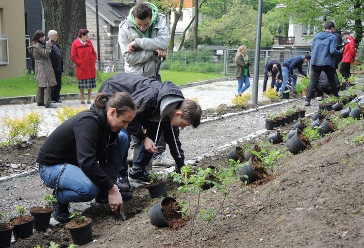 Ogród ekologiczny przy Hospicjum św. Jana Pawła II