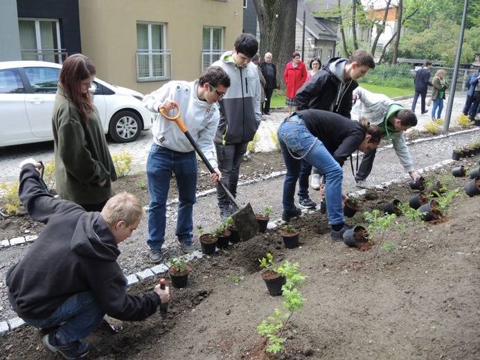 Ogród ekologiczny przy Hospicjum św. Jana Pawła II