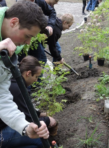 Ogród ekologiczny przy Hospicjum św. Jana Pawła II