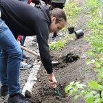 Ogród ekologiczny przy Hospicjum św. Jana Pawła II