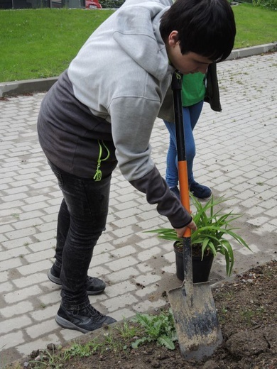 Ogród ekologiczny przy Hospicjum św. Jana Pawła II