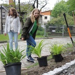 Ogród ekologiczny przy Hospicjum św. Jana Pawła II