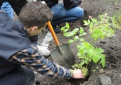 Ogród ekologiczny przy Hospicjum św. Jana Pawła II