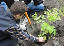 Ogród ekologiczny przy Hospicjum św. Jana Pawła II