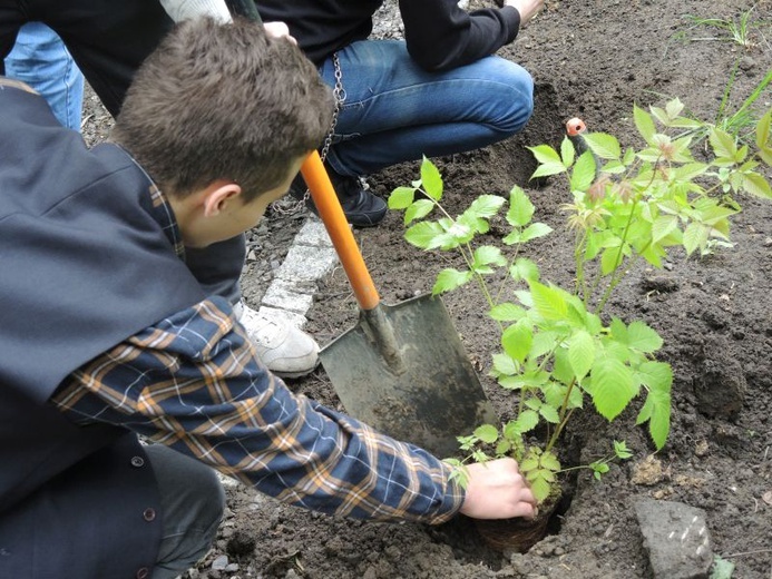 Ogród ekologiczny przy Hospicjum św. Jana Pawła II