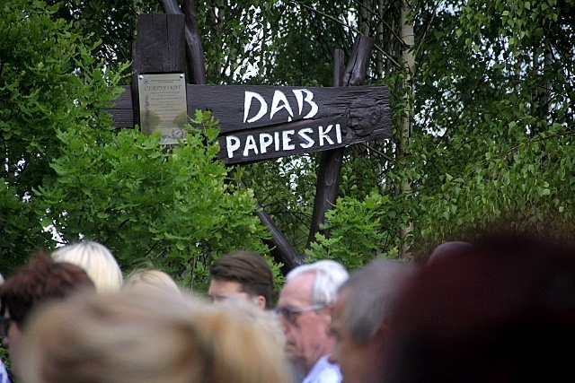 Dąb Papieski w Trzebczu