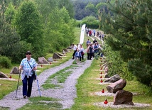 Dąb Papieski w Trzebczu