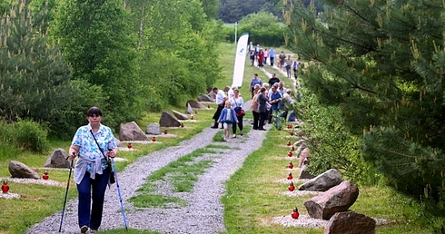 Dąb Papieski w Trzebczu