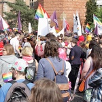 Narodowcy kontra LGBT