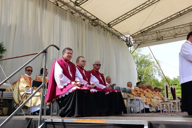 Koronacja obrazu Matki Bożej Saneckiej