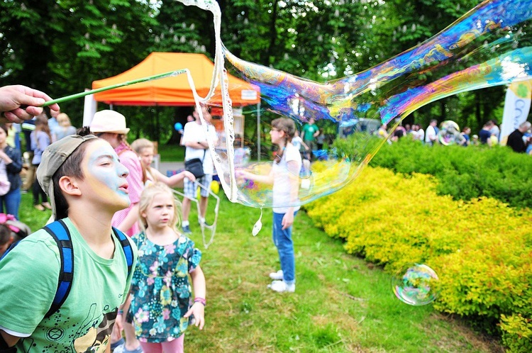 Tak wyglądał wyścig kaczek w Lublinie w 2016 roku