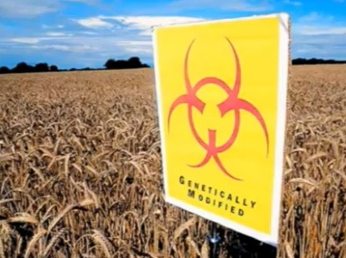 Bayer chce przejąć Monsanto
