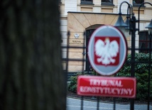 Trybunał: nie „czyj”, ale „jaki”?