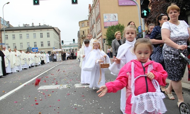 Miłość wbrew prawom dżungli