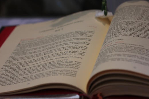 Boże Ciało w Łowiczu - Eucharystia