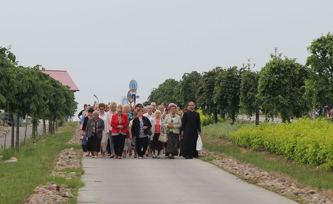 Pielgrzymka Apostolatu Maryjnego