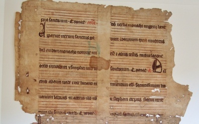 Odkrycie w księdze z Mszany