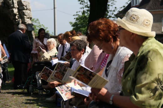 Pielgrzymka mniejszości 2016