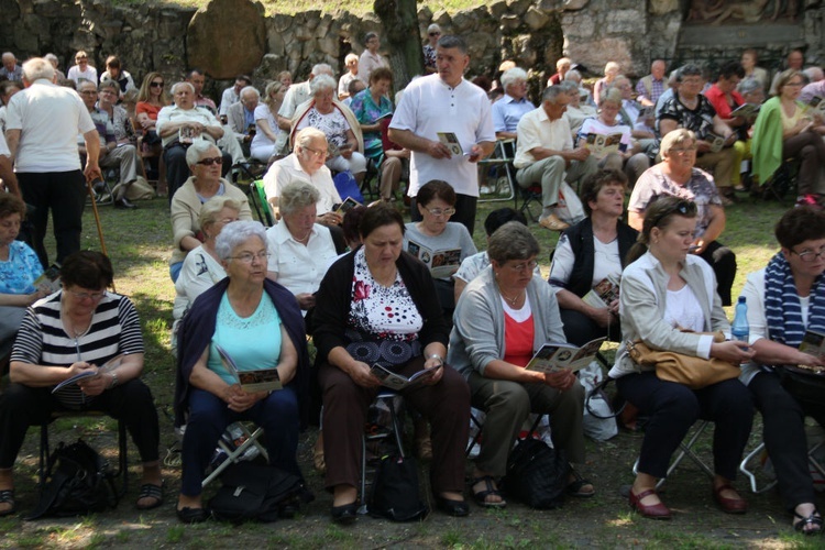 Pielgrzymka mniejszości 2016