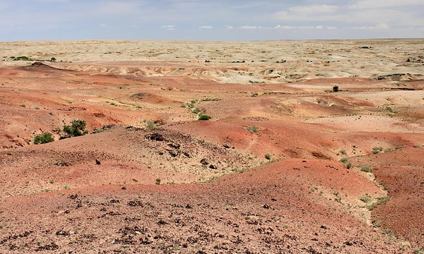 Na pustyni Gobi