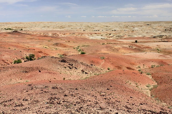 Na pustyni Gobi