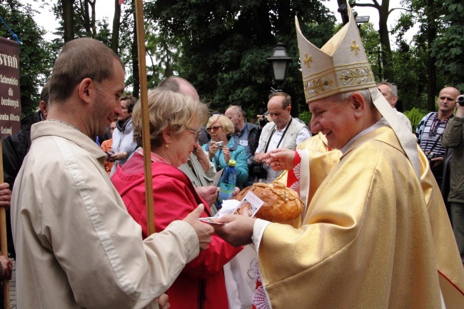 Talerz Miłosierdzia z Gwiazdami 