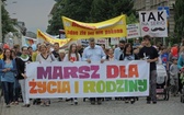 III Marsz dla Życia i Rodziny w Bielsku-Białej - 2016