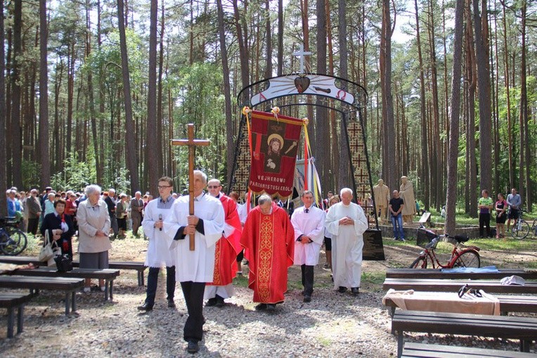 Wierni na początku Mszy św. przeszli przez Bramę Miłosierdzia