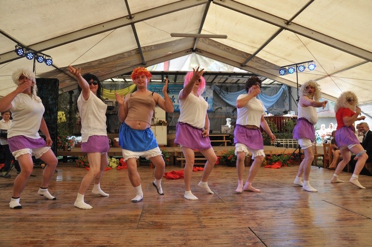 Fajer na ligockich błoniach