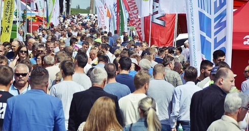 Tłumy zwiedzających wystawę rolniczą w Poświętnem