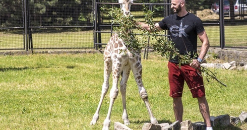 Gortat karmi "chrześniaka"