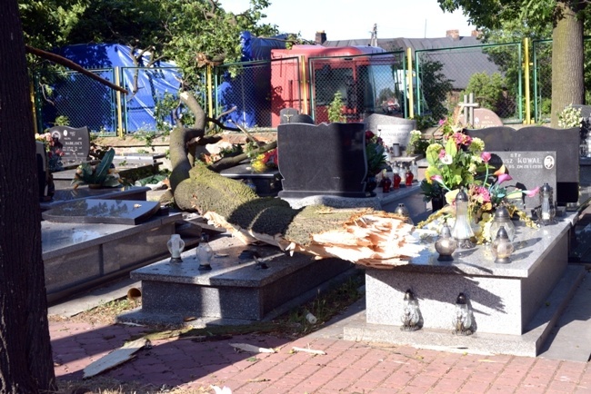 Potężny konar drzewa uszkodził nagrobki na cmentarzu prawosławnym w Radomiu