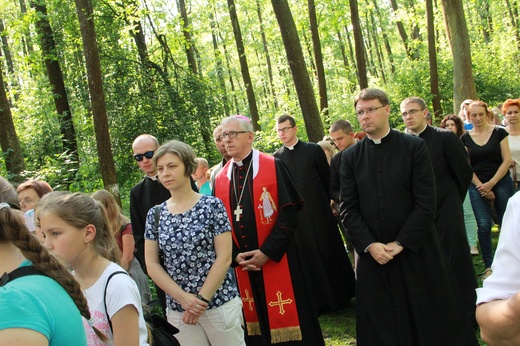 Droga krzyżowa w Wał Rudzie