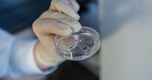 Porażka zwolenników in vitro