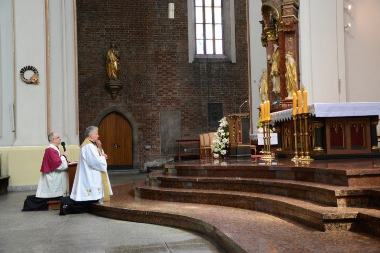 Rowerowe camino wzdłuż Odry